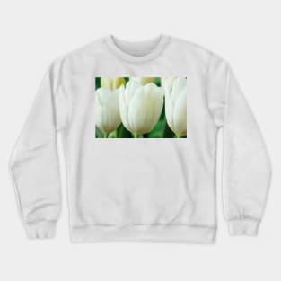 Tulipa  &#39;White Dream&#39;  Tulip Crewneck Sweatshirt